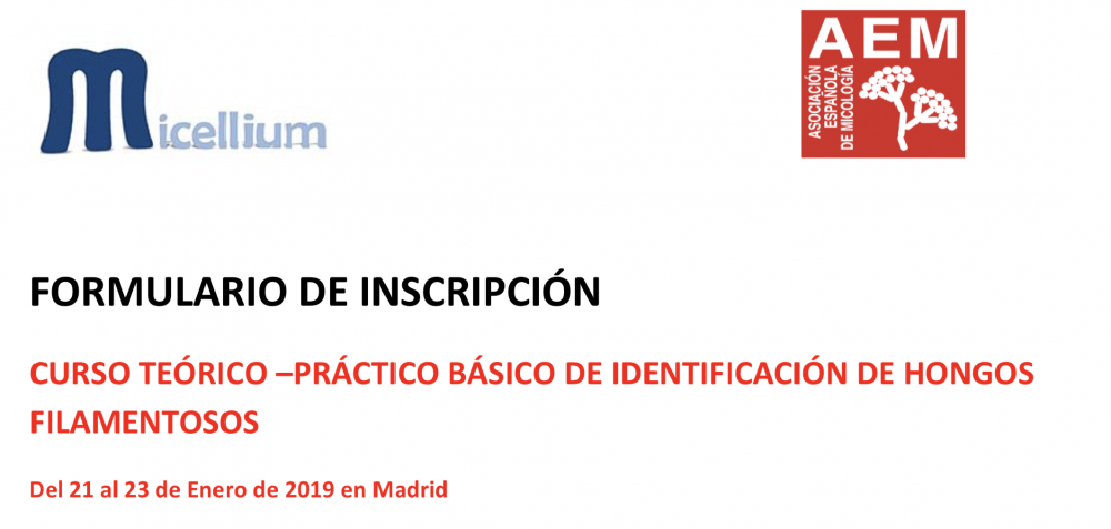 Fundación Micellium-Curso hongos filamentosos-AEM